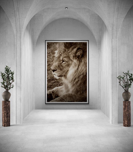 Regard souverain